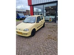 Geel Gebruikt 2004 Fiat Seicento Active Hatchback | € 1.475 (Eerlijke prijs)