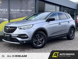 Grijs Gebruikt 2021 Opel Grandland X Edition SUV | € 22.850 (Eerlijke prijs)