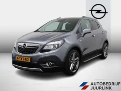 Grijs Gebruikt 2014 Opel Mokka Cosmo SUV | € 11.899 (Eerlijke prijs)