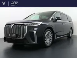 Zwart, metallic lak Nieuw 2024 Voyah Dream MPV | € 94.857