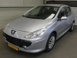 Grijs Gebruikt 2006 Peugeot 307 Hatchback | € 1.999 (Eerlijke prijs)