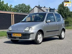 Grijs Gebruikt 2003 Fiat Seicento Active Hatchback | € 1.750 (Eerlijke prijs)