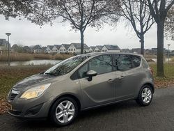 Bruin Gebruikt 2010 Opel Meriva Selection MPV | € 3.995 (Eerlijke prijs)