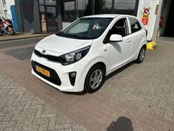 Wit Gebruikt 2019 Kia Picanto Hatchback | € 8.750 (Goede deal)