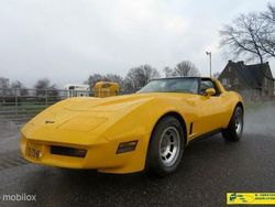 Geel Gebruikt 1981 Chevrolet Corvette Stingray Coupé | € 29.950