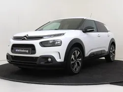 Wit Gebruikt 2020 Citroën C4 Cactus PureTech Hatchback | € 13.325 (Eerlijke prijs)