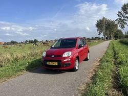 Rood Gebruikt 2012 Fiat Panda Hatchback | € 2.995 (Eerlijke prijs)