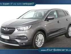 Grijs Gebruikt 2019 Opel Grandland X Innovation SUV | € 17.400 (Eerlijke prijs)