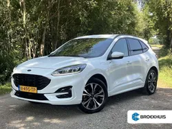 Wit Gebruikt 2022 Ford Kuga ST-Line X SUV | € 25.750 (Eerlijke prijs)