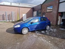 Blauw Gebruikt 2007 Fiat Punto Active Hatchback | € 2.950 (Iets duurder)