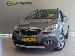 Grijs Gebruikt 2014 Opel Mokka Edition SUV | € 10.425 (Eerlijke prijs)
