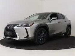 Sonic titanium metallic (grijs metallic) Gebruikt 2025 Lexus UX 300e SUV | € 47.450