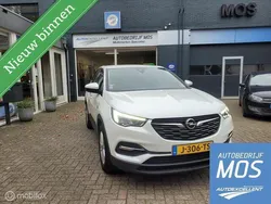 Wit Gebruikt 2020 Opel Grandland X Business Edition SUV | € 13.950 (Goede deal)