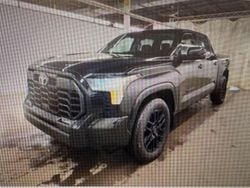 Zwart Gebruikt 2023 Toyota Tundra Pickup | € 54.500