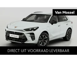 Wit Nieuw 2025 Cupra Terramar SUV | € 45.885 (Super prijs)