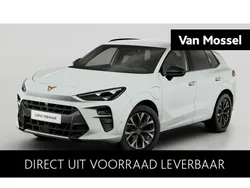 Wit Nieuw 2025 Cupra Terramar SUV | € 49.475 (Eerlijke prijs)
