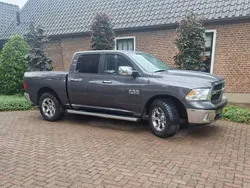 Bruin Gebruikt 2014 Dodge Ram Pickup | € 16.750 (Super prijs)