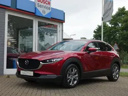 Rood Gebruikt 2020 Mazda CX-30 Luxury SUV | € 22.545 (Eerlijke prijs)