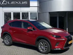 Rood Gebruikt 2019 Lexus NX300h Luxury Line SUV | € 32.400 (Eerlijke prijs)