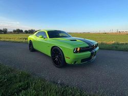 Groen Gebruikt 2015 Dodge Challenger Coupé | € 45.000