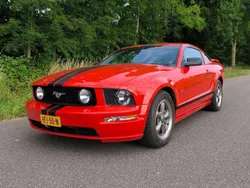Rood Gebruikt 2005 Ford Mustang Coupé | € 12.000