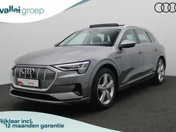 Grijs Gebruikt 2019 Audi e-tron SUV | € 24.450 (Eerlijke prijs)