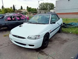 Wit Gebruikt 1997 Ford Escort Cabriolet Cabriolet | € 1.500