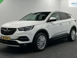 Wit Gebruikt 2019 Opel Grandland X Innovation SUV | € 999.999