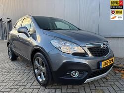 Grijs Gebruikt 2014 Opel Mokka Edition SUV | € 13.650 (Eerlijke prijs)