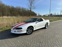 Wit Gebruikt 1997 Chevrolet Camaro Cabriolet | € 22.750