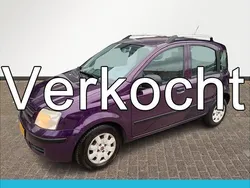 Paars Gebruikt 2010 Fiat Panda Active Hatchback | € 1.498 (Goede deal)