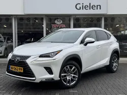 Wit Gebruikt 2020 Lexus NX300h Luxury Line SUV | € 38.400 (Iets duurder)