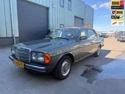Grijs Gebruikt 1982 Mercedes 200 Sedan | € 6.250