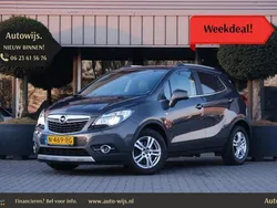 Grijs Gebruikt 2014 Opel Mokka Edition SUV | € 11.375 (Eerlijke prijs)
