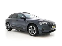Grijs Gebruikt 2020 Audi e-tron Business SUV | € 21.745 (Eerlijke prijs)