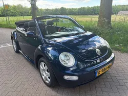 VW Beetle