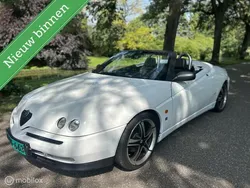 Alfa Romeo Spider