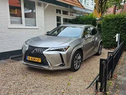Grijs Gebruikt 2020 Lexus UX 300e Luxury Line SUV | € 24.500