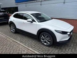 Wit Gebruikt 2024 Mazda CX-30 Exclusive-Line SUV | € 35.950 (Iets duurder)