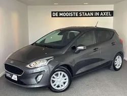 Grijs Gebruikt 2018 Ford Fiesta Trend Hatchback | € 9.950 (Eerlijke prijs)