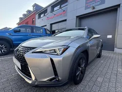 Grijs Gebruikt 2019 Lexus UX Launch Edition SUV | € 18.500