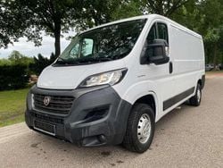 Wit Gebruikt 2020 Fiat Ducato 33 Van | € 14.990 (Super prijs)