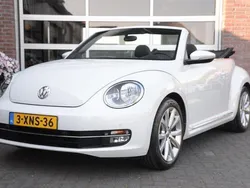 VW Beetle