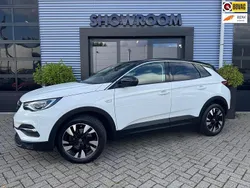 Wit Gebruikt 2021 Opel Grandland X Elegance SUV | € 26.895 (Duur)