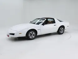 Overige Gebruikt 1990 Pontiac Firebird | € 9.950