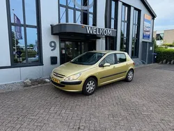 Geel Gebruikt 2002 Peugeot 307 Hatchback | € 690 (Goede deal)