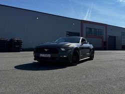 Grijs Gebruikt 2015 Ford Mustang Coupé | € 17.000