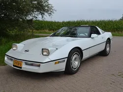 Beige Gebruikt 1985 Chevrolet Corvette Coupé | € 10.950