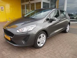 Grijsgrijs Gebruikt 2019 Ford Fiesta Hatchback | € 13.995 (Iets duurder)