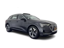 Grijs Gebruikt 2019 Audi e-tron Design SUV | € 20.945 (Duur)
